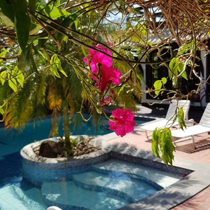 Guesthouse Mata da Praia Vitoria Bagian luar foto